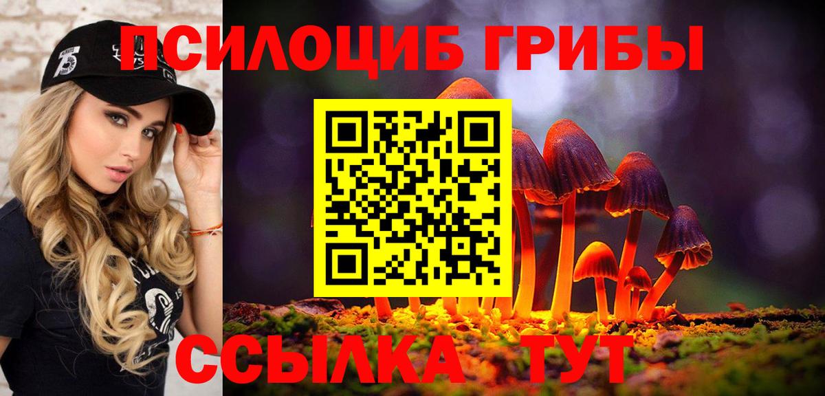 Псилоцибиновые грибы MAGIC MUSHROOMS Алейск