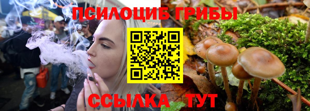 Псилоцибиновые грибы Psilocybine cubensis  Вход с VPN  Алейск 